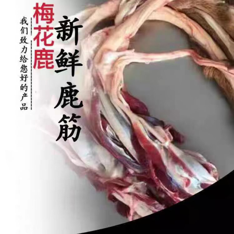 吉林双阳梅花鹿鲜鹿筋量大从优品质有保证欢迎咨询