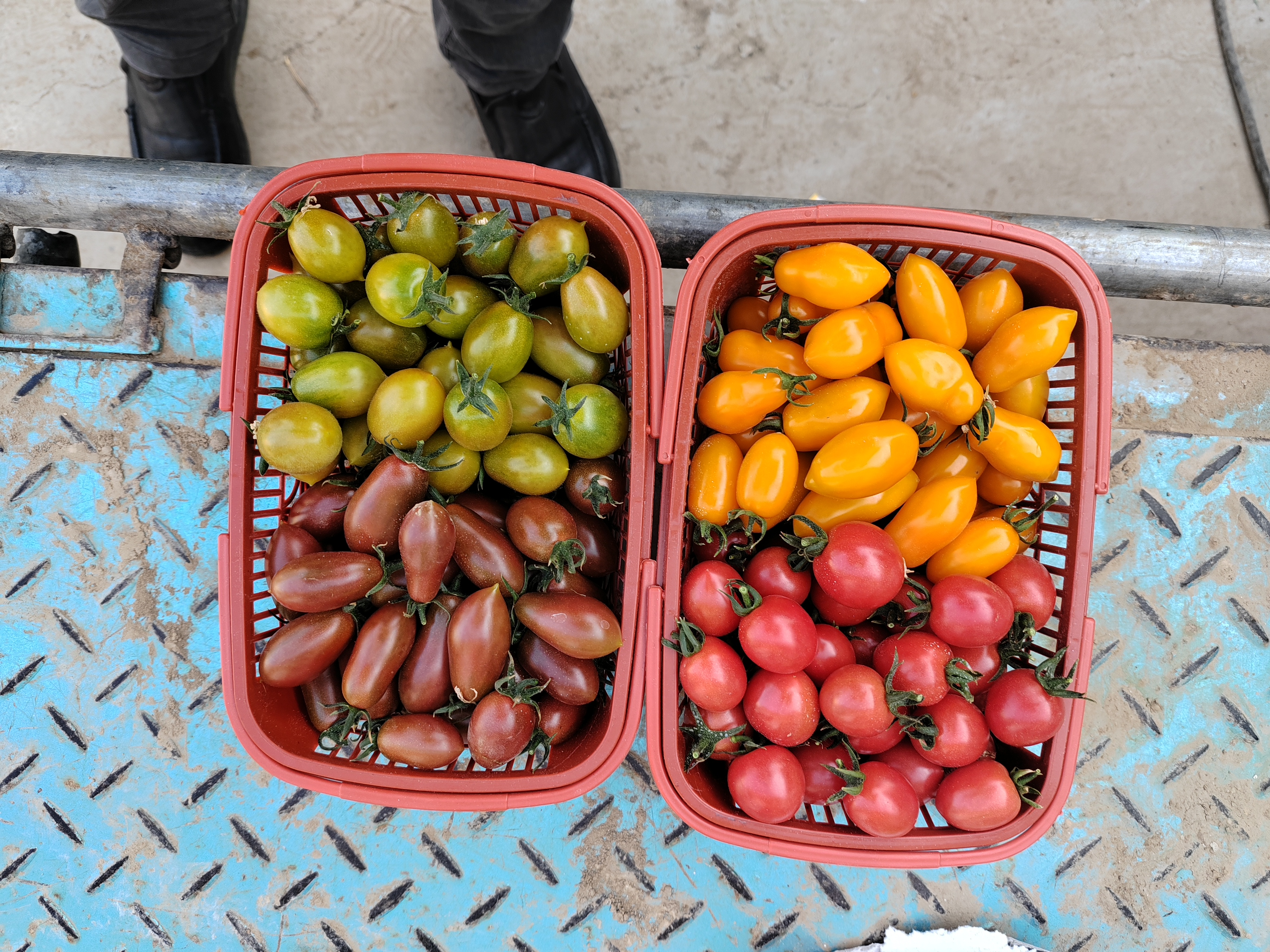 圣女果与其他食材搭配的创意食谱展示图