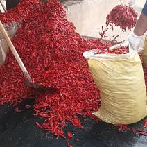 六一特卖，盐渍津红2品种的红辣椒
