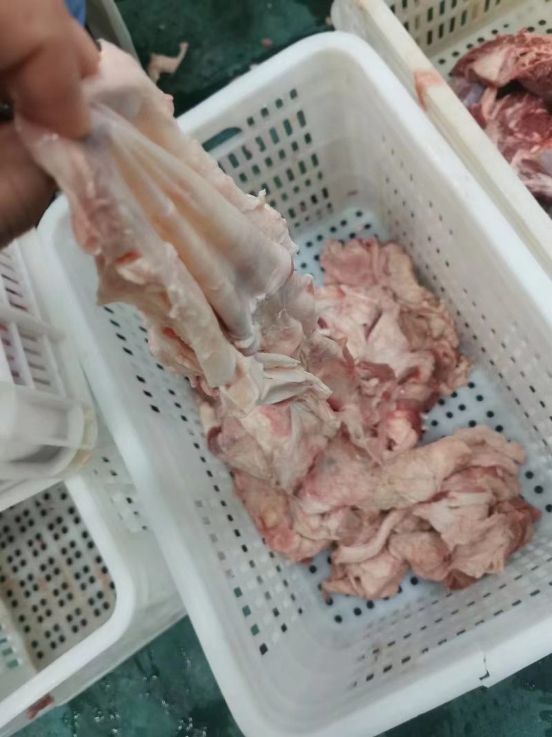 牛筋皮，精修牛筋皮，牛薄筋。。。。。。。