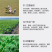 联苯噻虫胺防治地下害虫杀黄条跳甲地老虎蝼蛄害虫专用杀虫剂