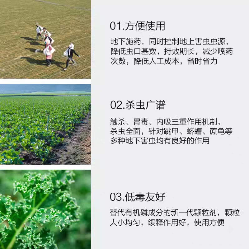 联苯噻虫胺防治地下害虫杀黄条跳甲地老虎蝼蛄害虫专用杀虫剂
