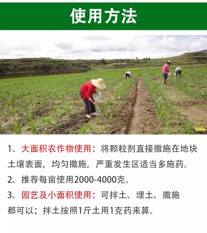 联苯噻虫胺防治地下害虫杀黄条跳甲地老虎蝼蛄害虫专用杀虫剂