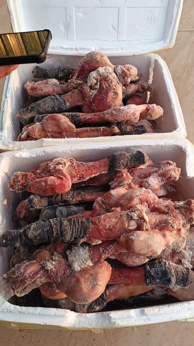 马鞭光杆马鞭带宝马鞭精修无油鲜货