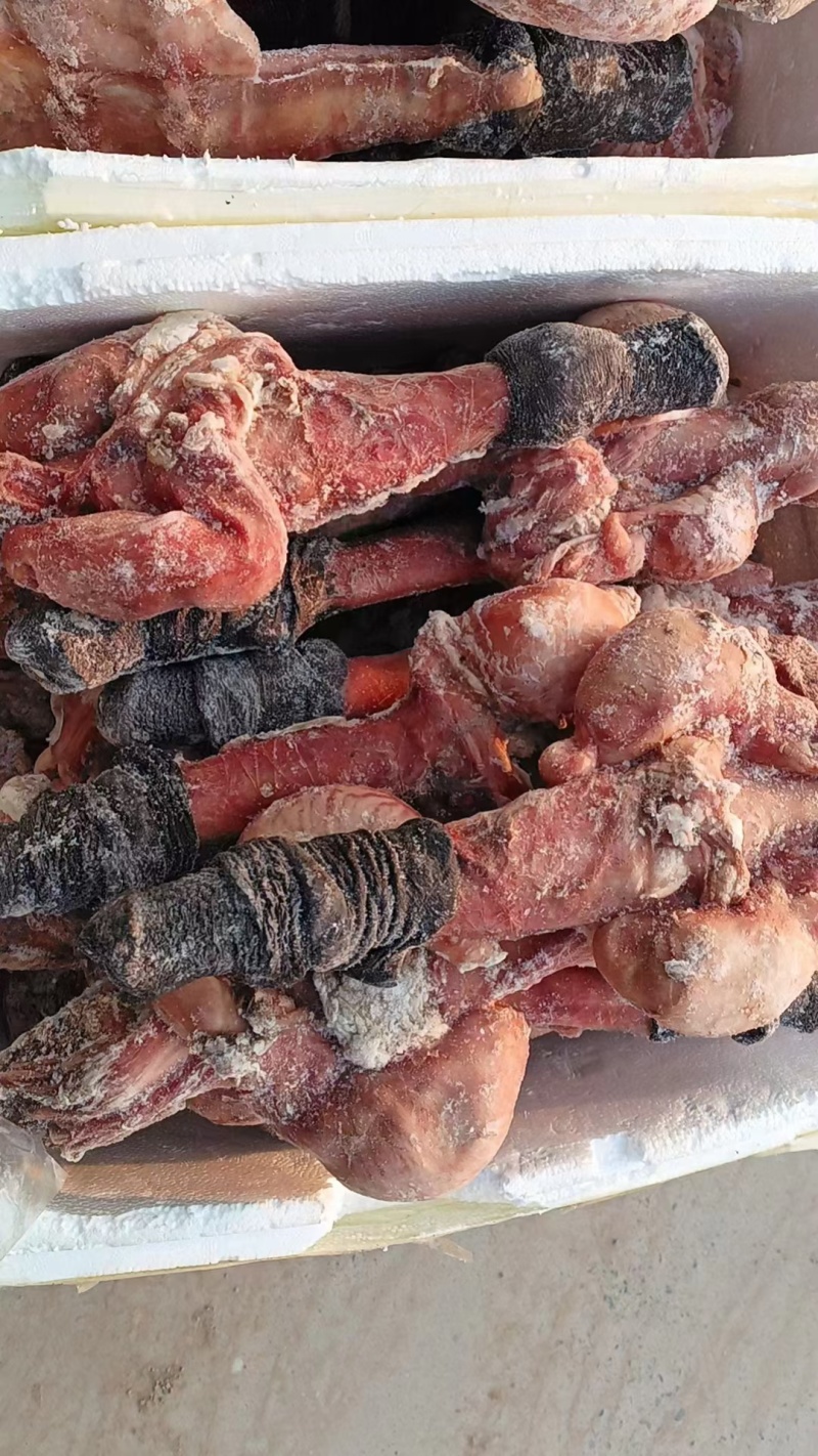 马鞭光杆马鞭带宝马鞭精修无油鲜货