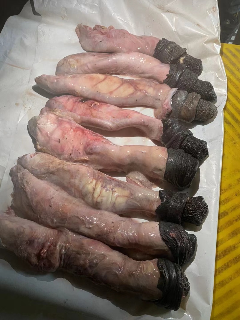 马鞭光杆马鞭带宝马鞭精修无油鲜货