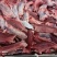 牛鞭根生鲜烧烤火锅牛鞭根肉牛杂新鲜牛鞭根肉货源稳定批发