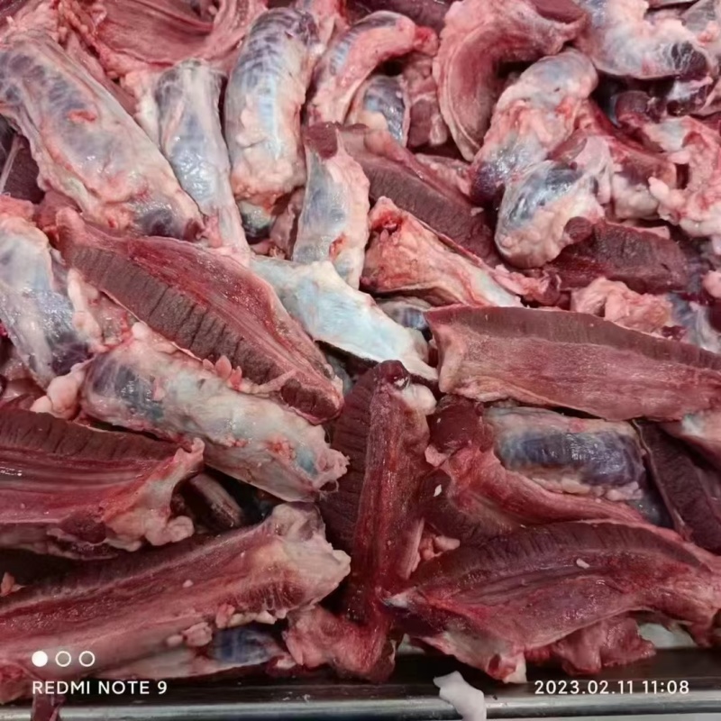 牛鞭根生鲜烧烤火锅牛鞭根肉牛杂新鲜牛鞭根肉货源稳定批发