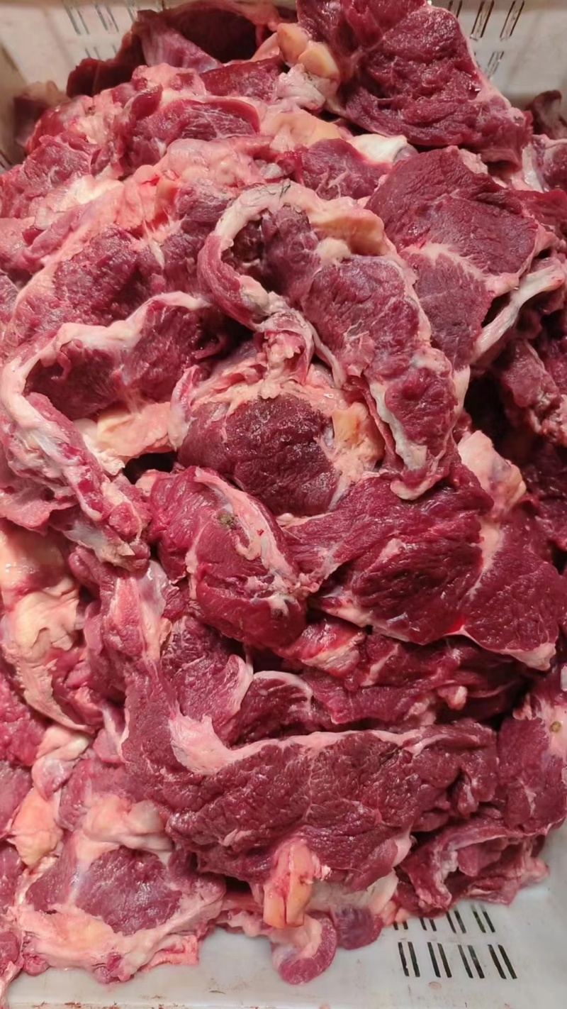 牛鞭根生鲜烧烤火锅牛鞭根肉牛杂新鲜牛鞭根肉货源稳定批发