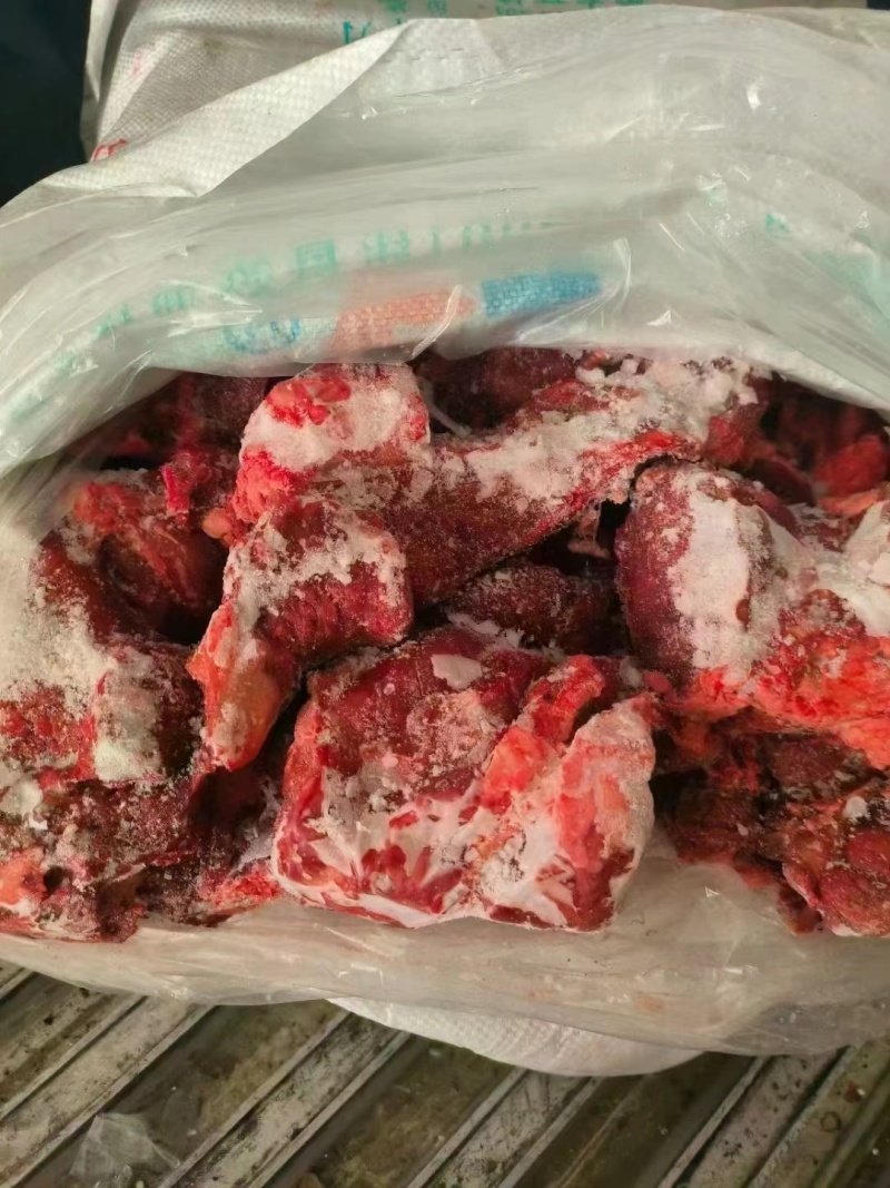 牛鞭根生鲜烧烤火锅牛鞭根肉牛杂新鲜牛鞭根肉货源稳定批发