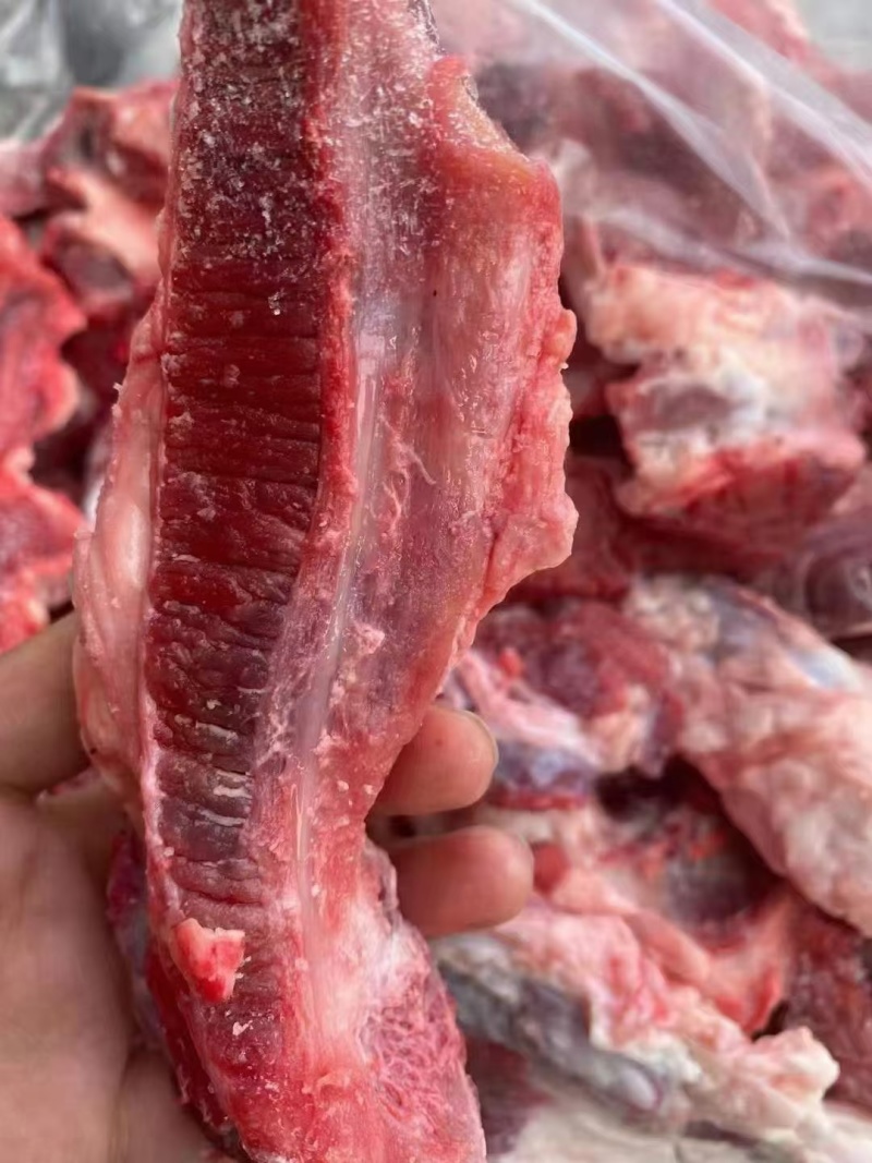 牛鞭根生鲜烧烤火锅牛鞭根肉牛杂新鲜牛鞭根肉货源稳定批发
