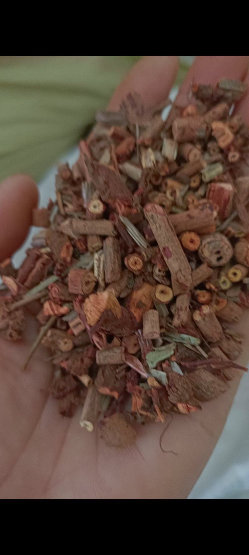 茜草，野生切段过筛，产地河南，量大从优，欢迎选购