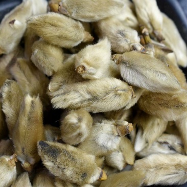 辛夷中药材正品中药材包运费
