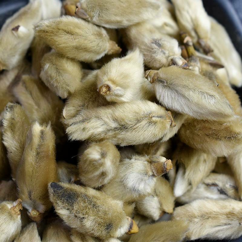 辛夷中药材正品中药材包运费