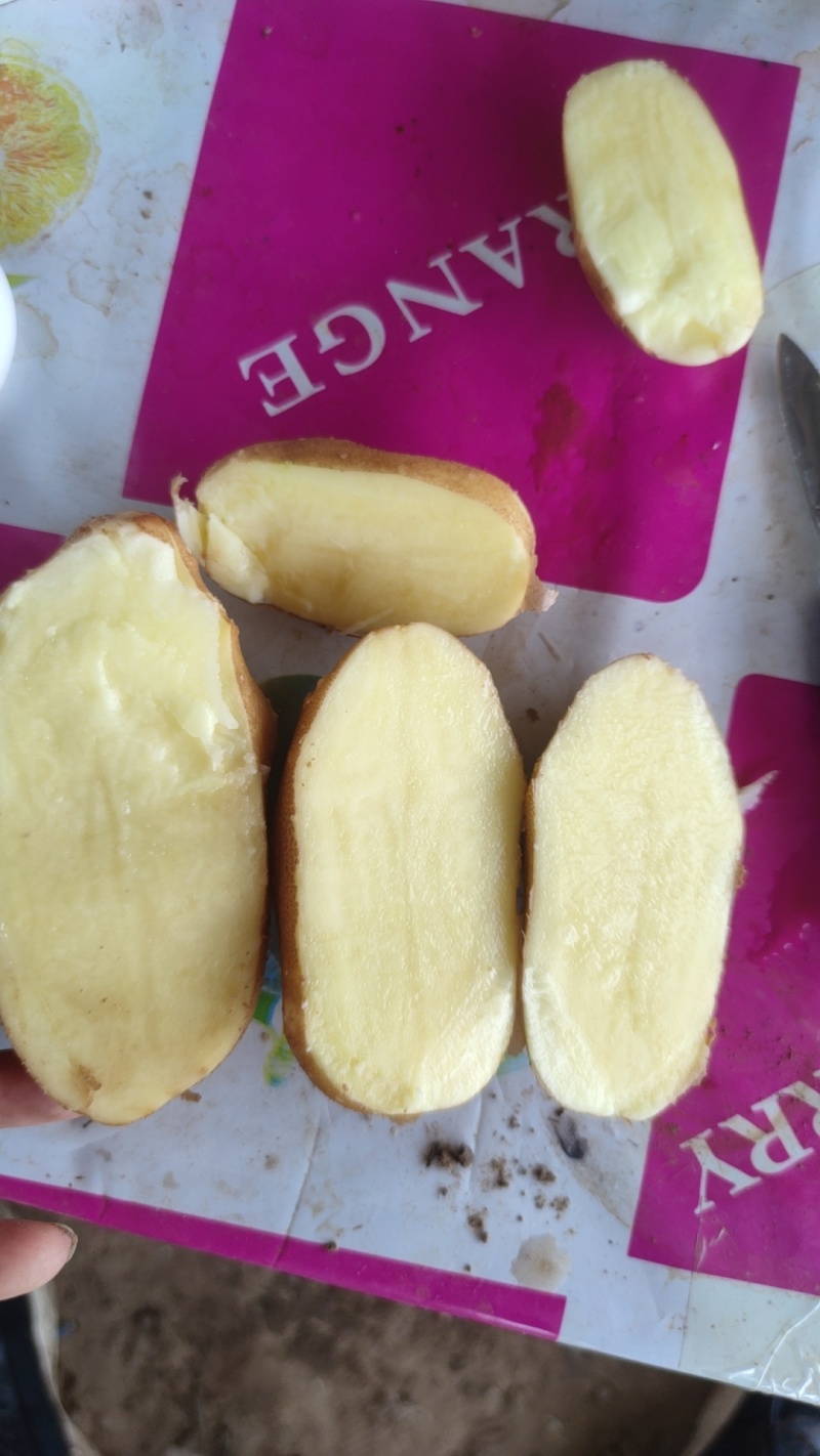 麦肯土豆品质优良诚信经营价格美丽欢迎采购