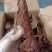 【腊肉】烟熏腊心肺餐饮食材批发20斤一件腌腊制品厂家直销