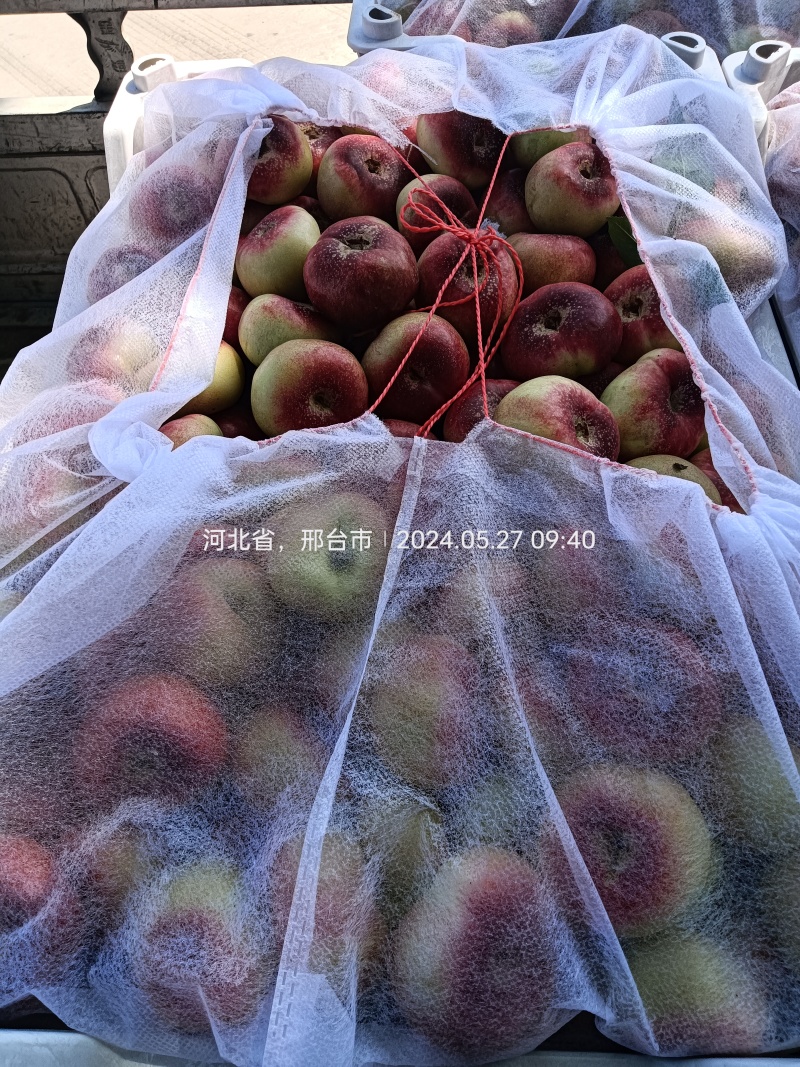 明月小蟠桃价格实惠清甜可口，颜色靓丽，欢迎新老客户光临