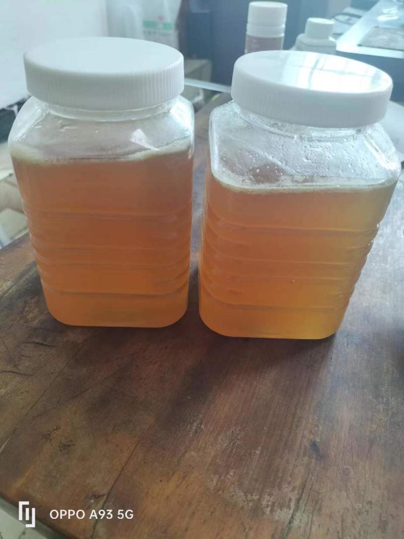 高山精品土蜂蜜一手货源全国发货量大优惠需要联系