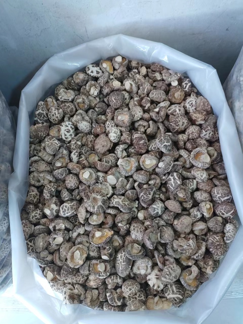 精品香菇干香菇货源充足量大从优质量保证欢迎咨询