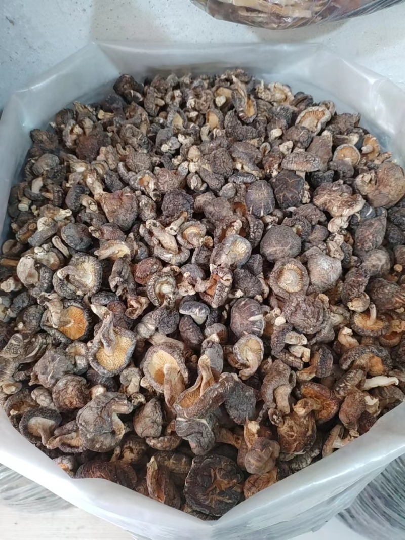 精品香菇干香菇货源充足量大从优质量保证欢迎咨询