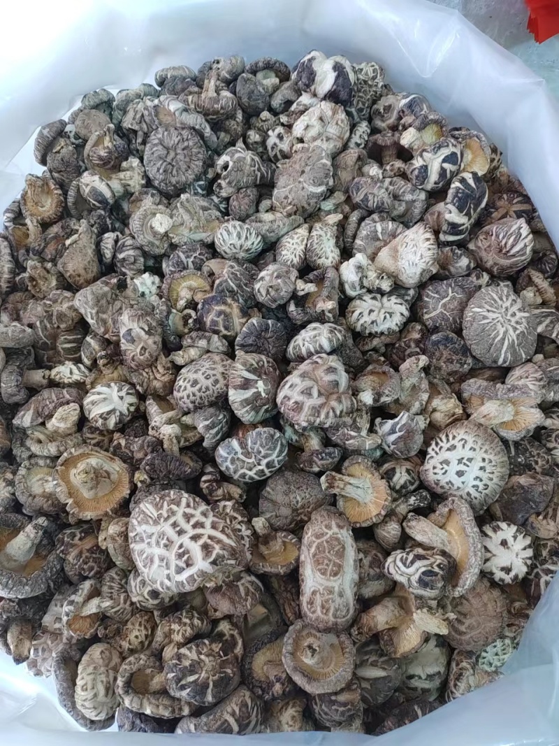 精品香菇干香菇货源充足量大从优质量保证欢迎咨询