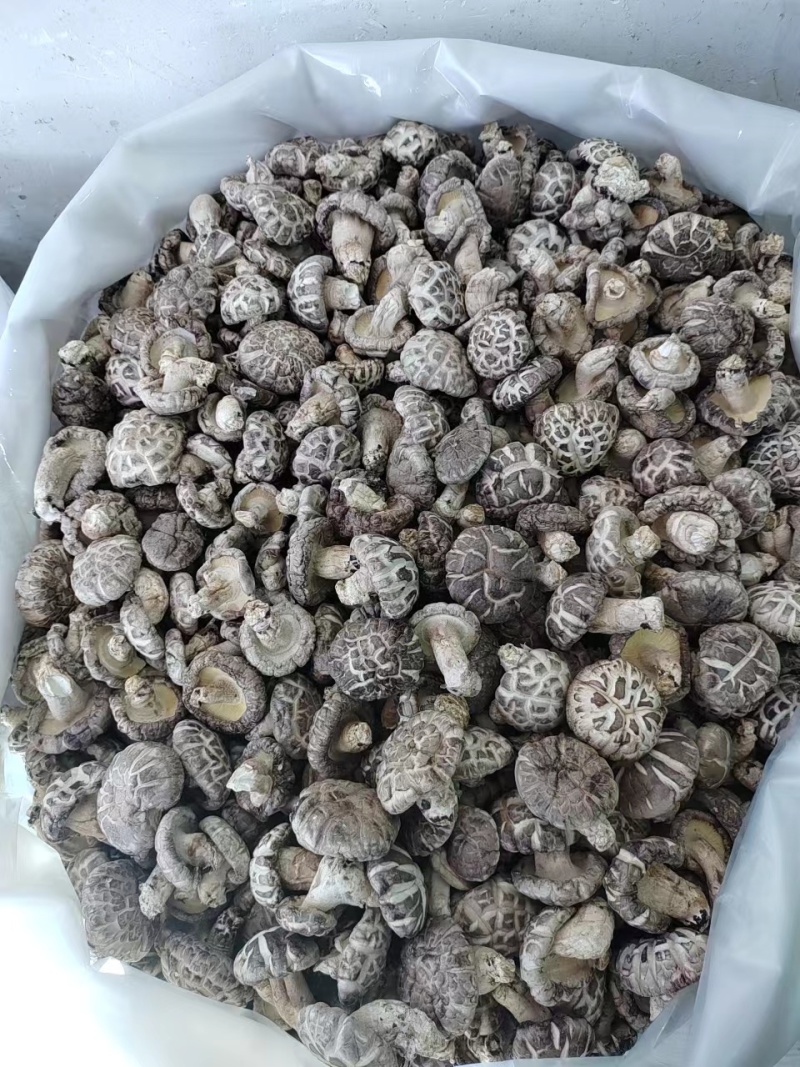 精品香菇干香菇货源充足量大从优质量保证欢迎咨询