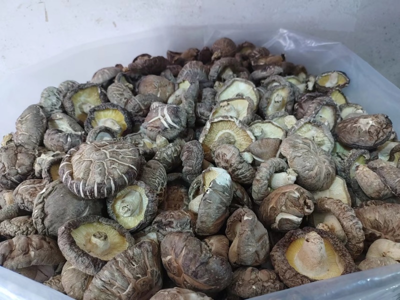 精品香菇干香菇货源充足量大从优质量保证欢迎咨询