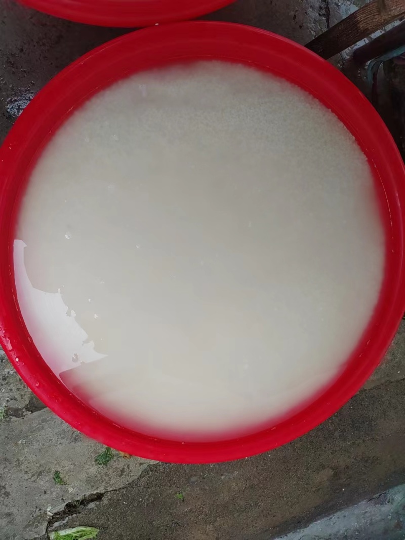 精品黄酒货源充足量大从优质量保证欢迎咨询