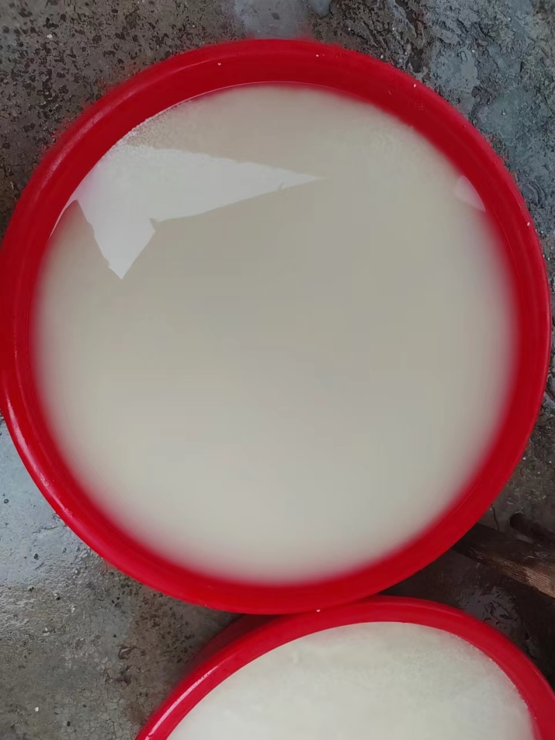 精品黄酒货源充足量大从优质量保证欢迎咨询