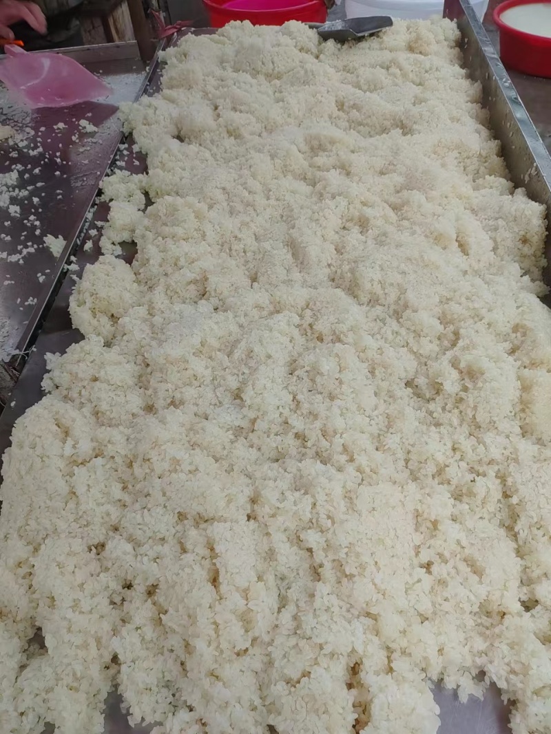 精品黄酒货源充足量大从优质量保证欢迎咨询