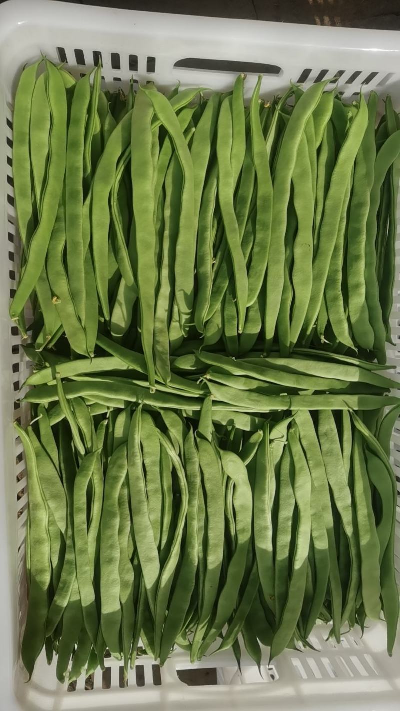扁豆大量上市欢迎朋友们来电骚扰
