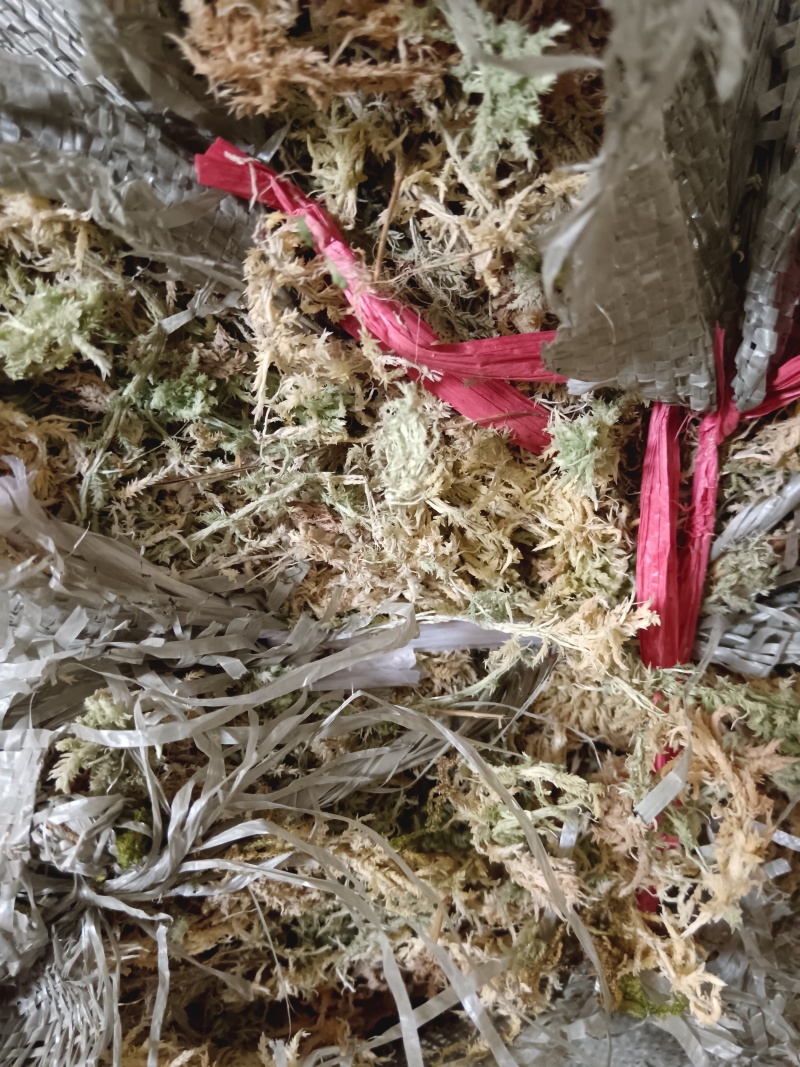 海花草，贵州省惠水县九龙寺，自产自销，价格实惠，批发