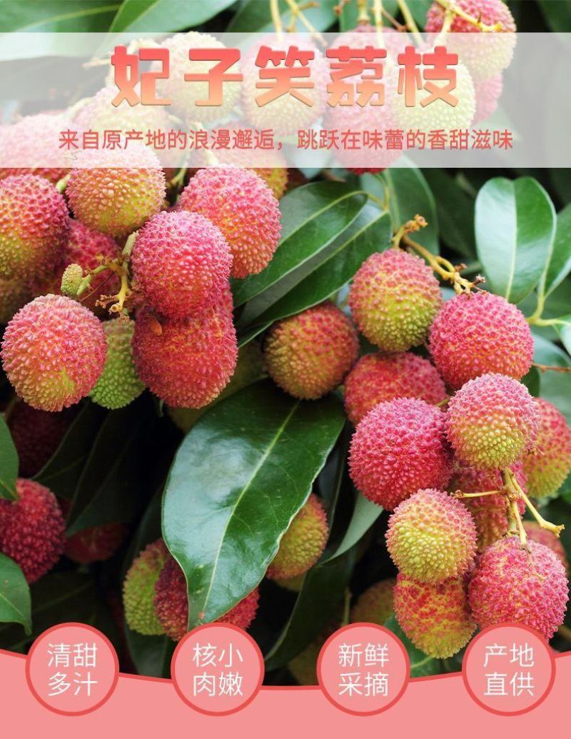 顺丰妃子笑荔枝一件代发妃子笑荔枝白糖桂味