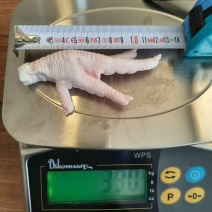 鸡爪