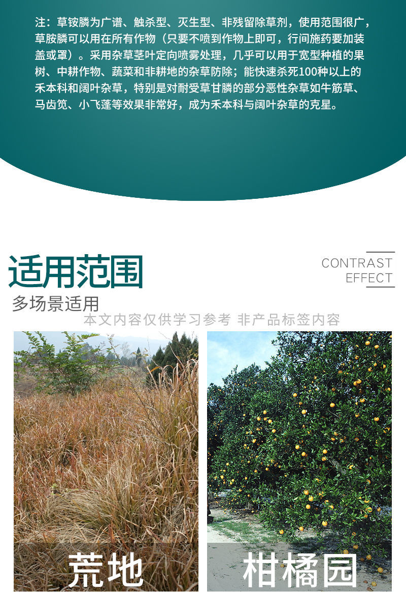 圣鹏快刀10%草铵膦草铵磷果荒地园除恶性杂草牛筋草小飞蓬