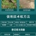 圣鹏快刀10%草铵膦草铵磷果荒地园除恶性杂草牛筋草小飞蓬