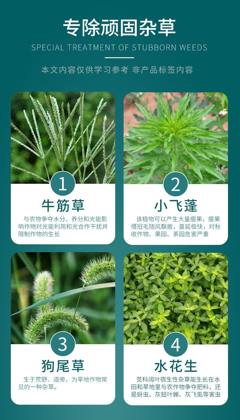 圣鹏快刀10%草铵膦草铵磷果荒地园除恶性杂草牛筋草小飞蓬