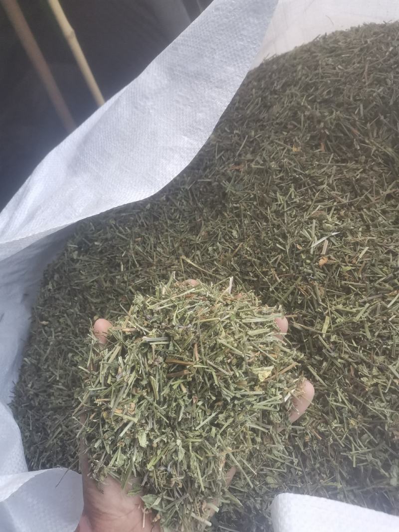 头茬半枝莲片子