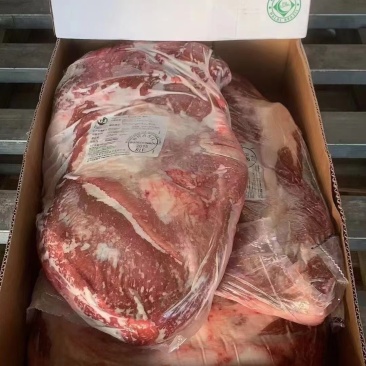 郑州牛胸肉品质保证诚信经营欢迎联系厂家直销