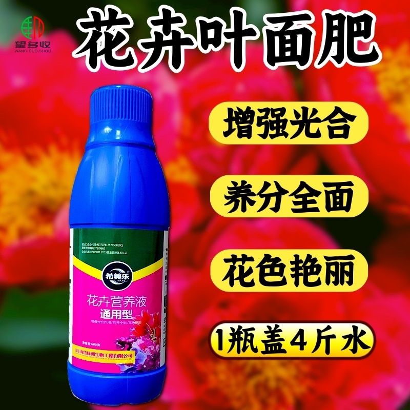花卉营养叶面肥花色艳丽延长花期