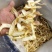 只卖郴州玉竹实体百万销量售后无忧
