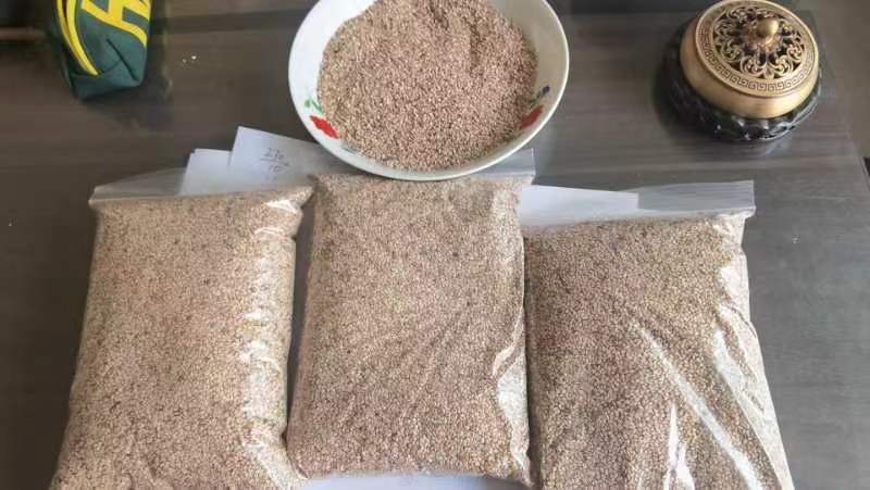 【精选】芝麻一级白芝麻货源充足品质保证量大价优欢迎咨询