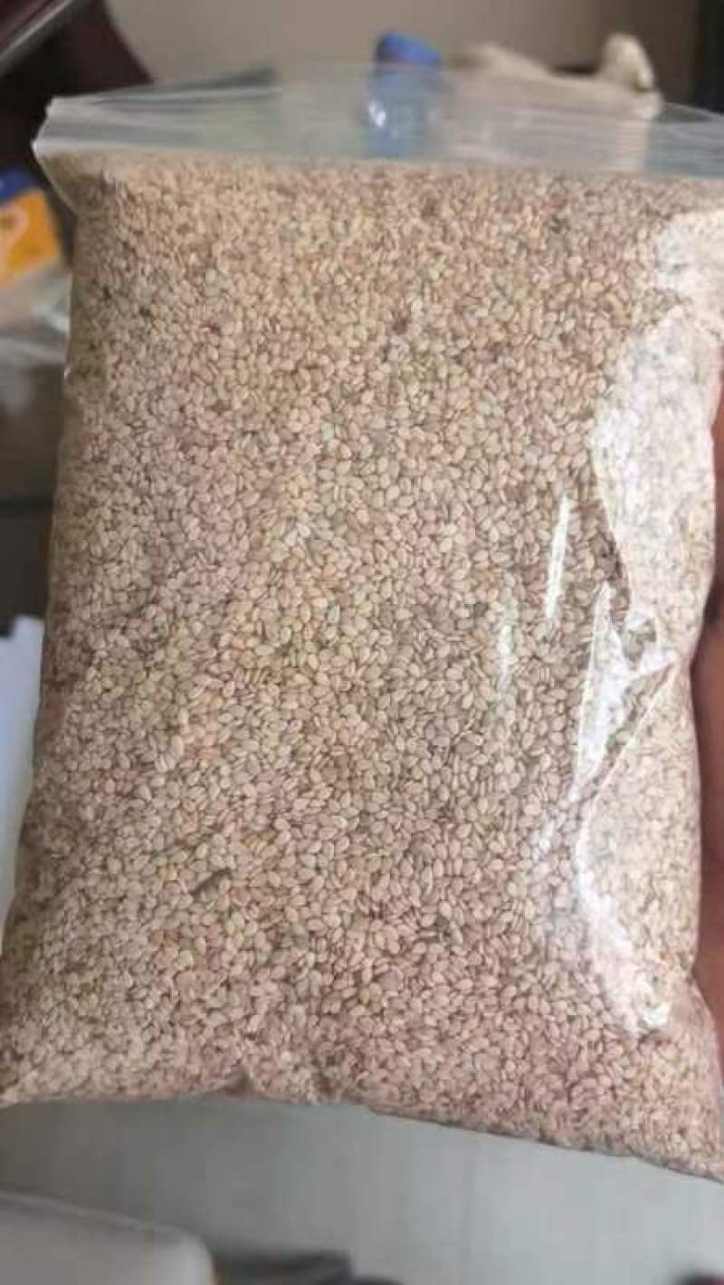 精品芝麻埃塞一级芝麻货源充足品质保证欢迎咨询