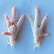 鸡爪