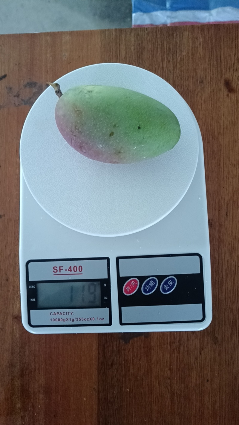 （推荐）贵妃芒果，红金龙，小贵妃，市场果，电商果