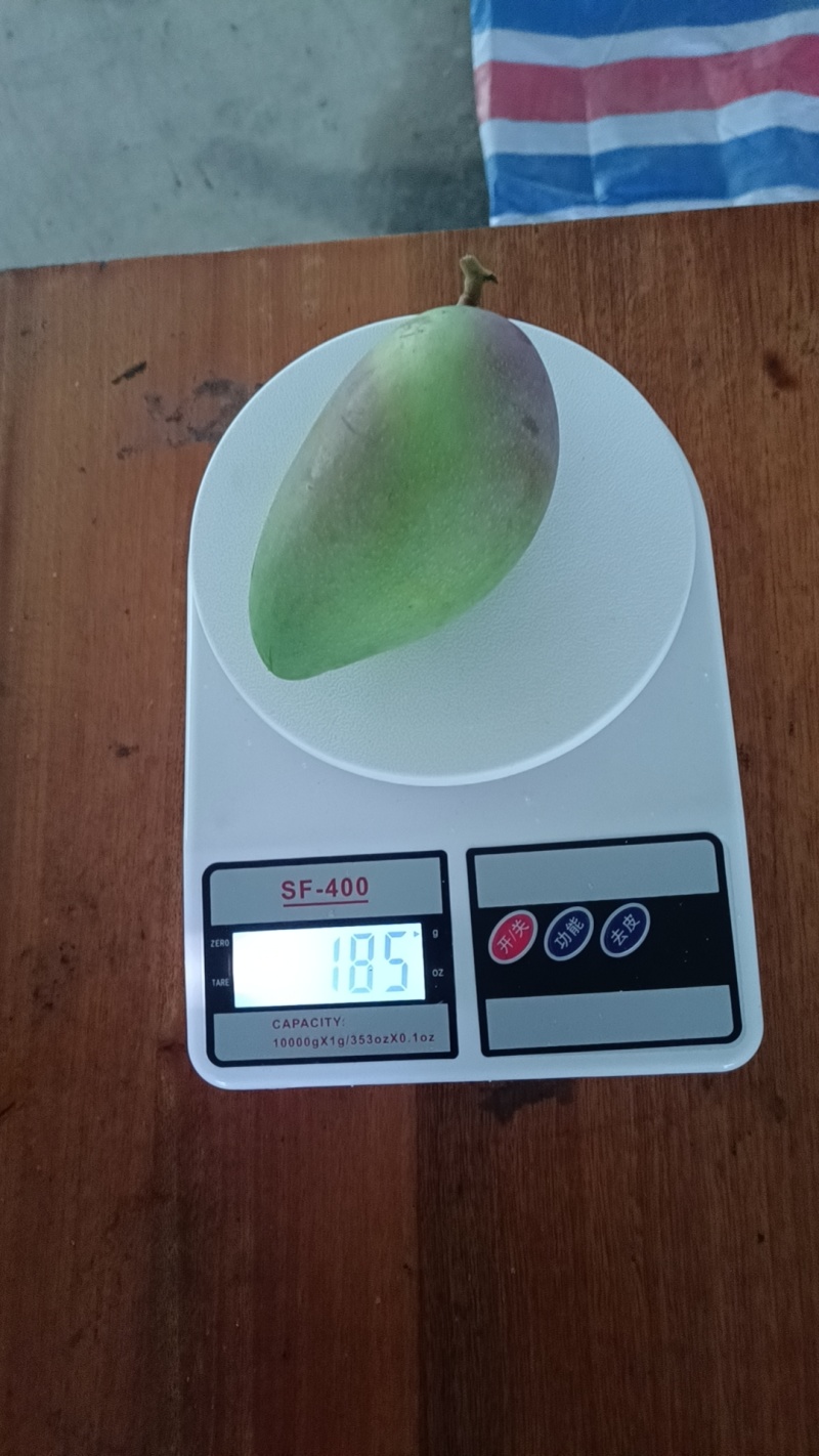 （推荐）贵妃芒果，红金龙，小贵妃，市场果，电商果