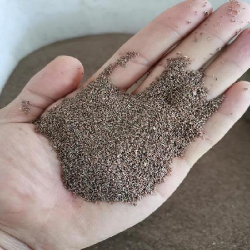 狗牙根草坪种子草籽四季常青护坡固土耐热耐旱耐践踏庭院绿化