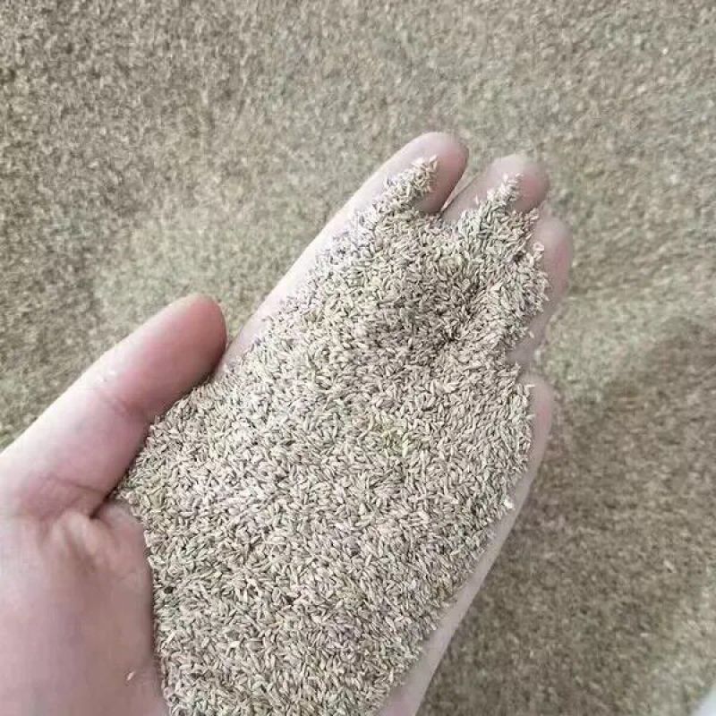 狗牙根草坪种子草籽四季常青护坡固土耐热耐旱耐践踏庭院绿化