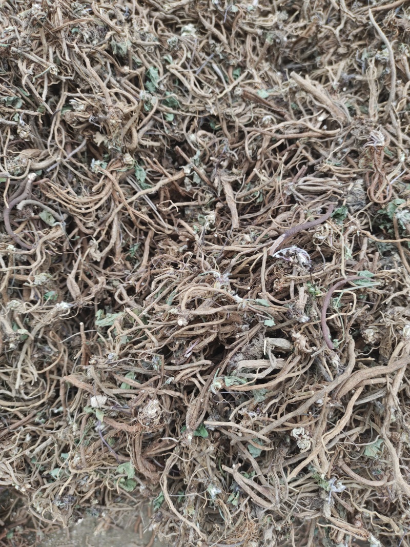 积雪草根，雷公根