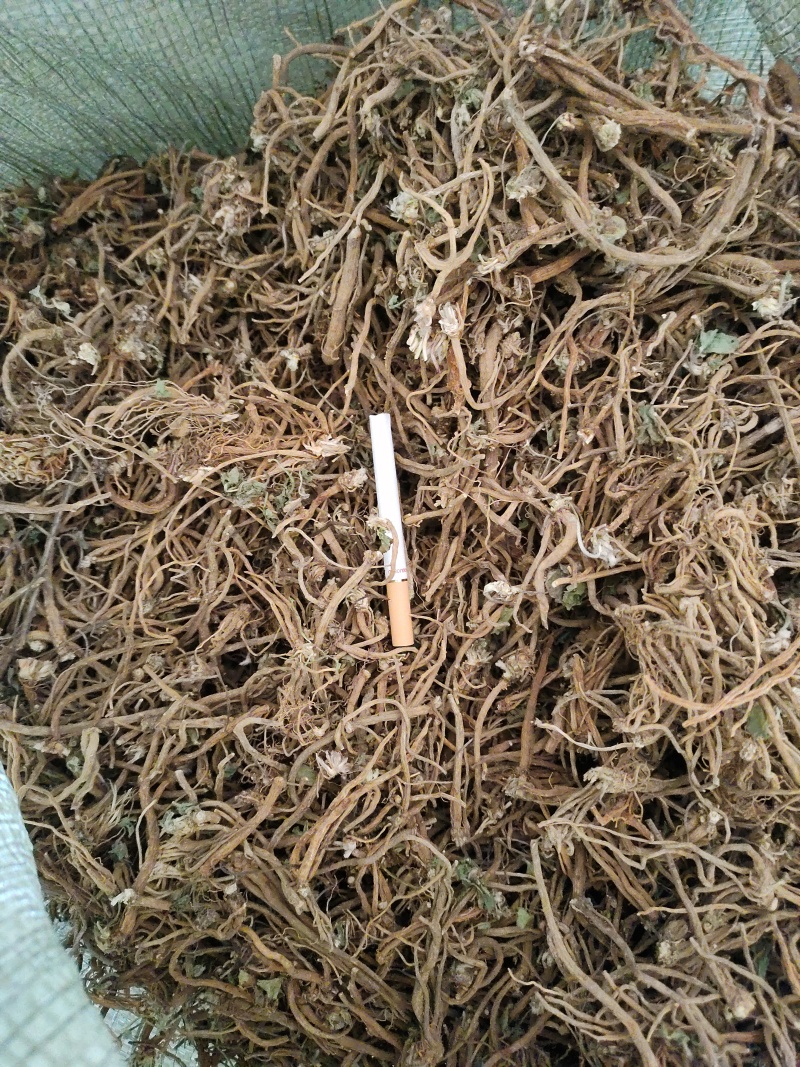 积雪草根，雷公根